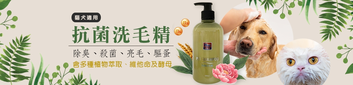 抗菌洗毛精  