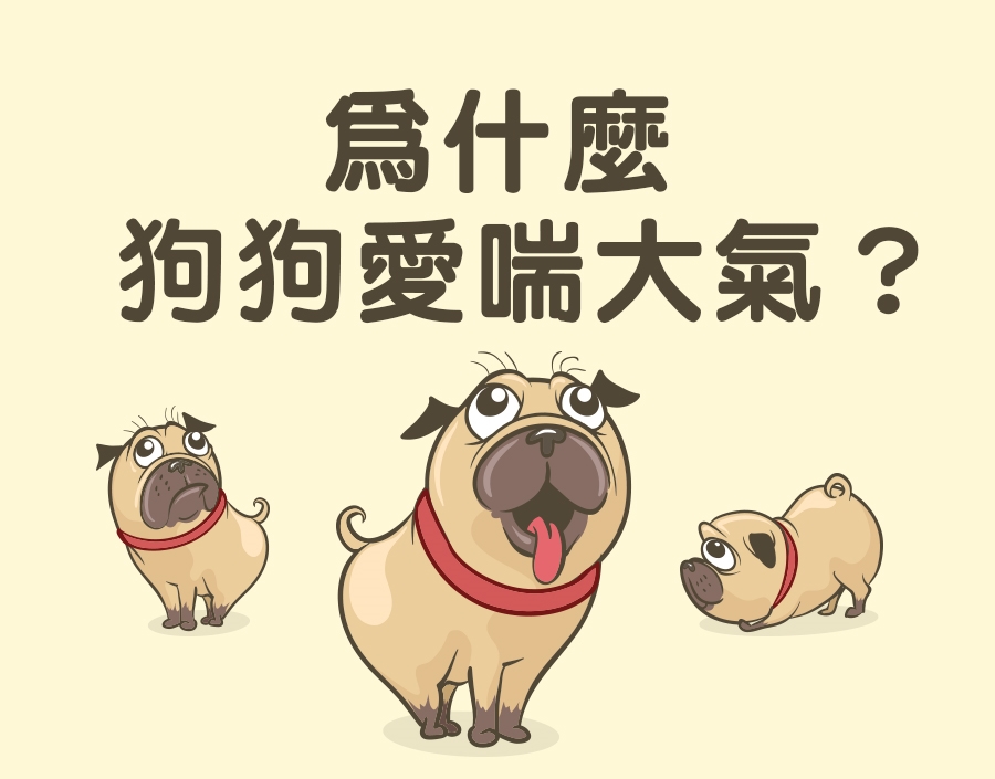 寵物知識_狗狗為什麼愛喘大氣