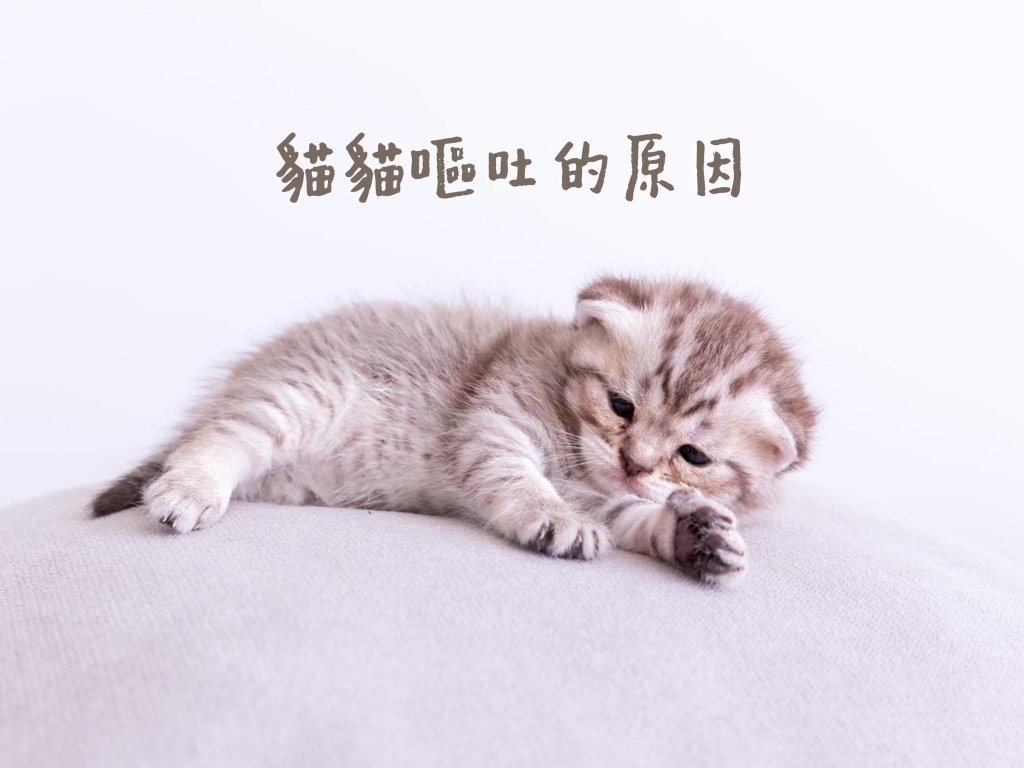 寵物知識_貓貓的嘔吐原因